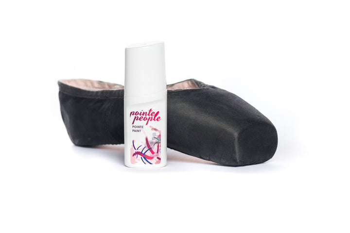 Fabric Pointe Paint | Rajani (Black)